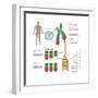 Chromosomes & Telomerase, Illustration-Gwen Shockey-Framed Art Print