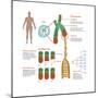 Chromosomes & Telomerase, Illustration-Gwen Shockey-Mounted Art Print