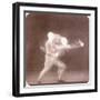 Chronophotograph of Movements of a Boxer, C.1890-Etienne Jules Marey-Framed Giclee Print