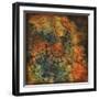 Chrysalis Sphere-Joshua Schicker-Framed Giclee Print