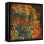 Chrysalis Sphere-Joshua Schicker-Framed Stretched Canvas