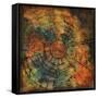 Chrysalis Sphere-Joshua Schicker-Framed Stretched Canvas