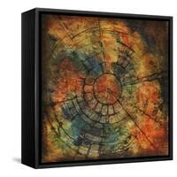 Chrysalis Sphere-Joshua Schicker-Framed Stretched Canvas