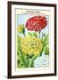 Chrysantheme A Carene Hybride Double Varie-null-Framed Art Print