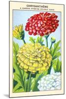 Chrysantheme A Carene Hybride Double Varie-null-Mounted Art Print