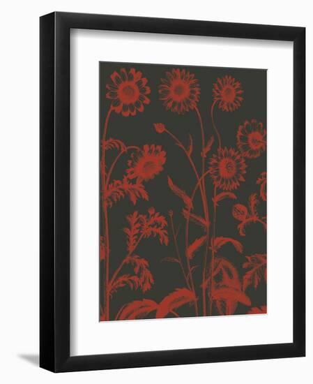 Chrysanthemum 10-Botanical Series-Framed Art Print