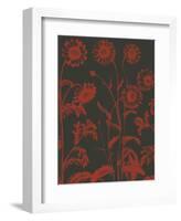 Chrysanthemum 10-Botanical Series-Framed Art Print