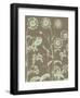 Chrysanthemum 12-Botanical Series-Framed Art Print