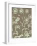Chrysanthemum 12-Botanical Series-Framed Art Print