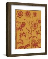 Chrysanthemum 15-Botanical Series-Framed Art Print