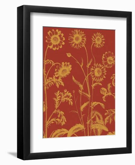 Chrysanthemum 16-Botanical Series-Framed Art Print