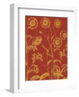 Chrysanthemum 16-Botanical Series-Framed Art Print