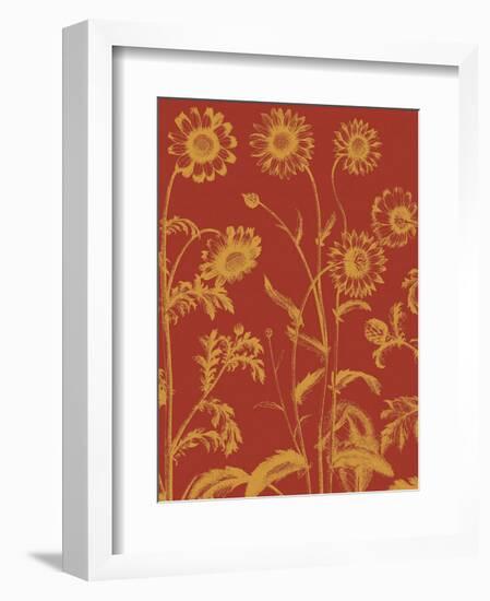 Chrysanthemum 16-Botanical Series-Framed Art Print