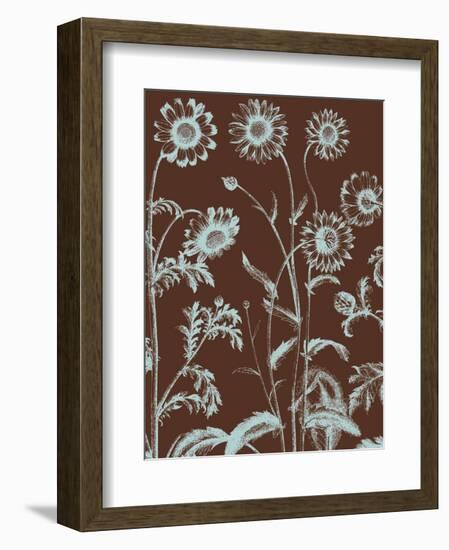 Chrysanthemum 17-Botanical Series-Framed Art Print