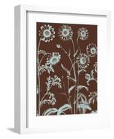 Chrysanthemum 17-Botanical Series-Framed Art Print
