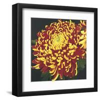 Chrysanthemum 1-Elizabeth Hellman-Framed Art Print