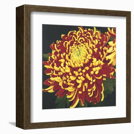 Chrysanthemum 1-Elizabeth Hellman-Framed Art Print