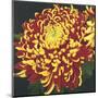 Chrysanthemum 1-Elizabeth Hellman-Mounted Art Print