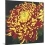 Chrysanthemum 1-Elizabeth Hellman-Mounted Art Print