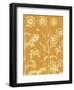 Chrysanthemum 20-Botanical Series-Framed Art Print