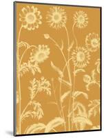 Chrysanthemum 20-Botanical Series-Mounted Art Print