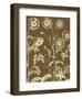 Chrysanthemum 3-Botanical Series-Framed Art Print