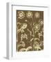 Chrysanthemum 3-Botanical Series-Framed Art Print