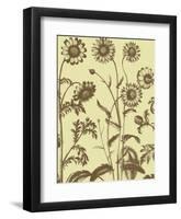 Chrysanthemum 4-Botanical Series-Framed Art Print