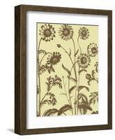 Chrysanthemum 4-Botanical Series-Framed Art Print