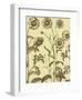 Chrysanthemum 4-Botanical Series-Framed Art Print