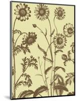 Chrysanthemum 4-Botanical Series-Mounted Art Print