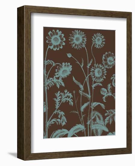 Chrysanthemum 6-Botanical Series-Framed Art Print