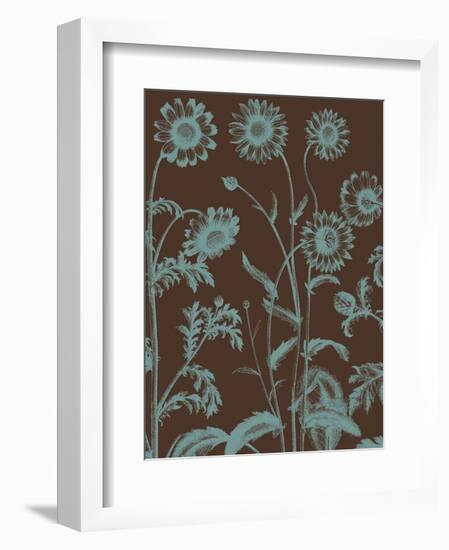 Chrysanthemum 6-Botanical Series-Framed Art Print
