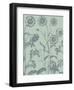 Chrysanthemum 8-Botanical Series-Framed Art Print