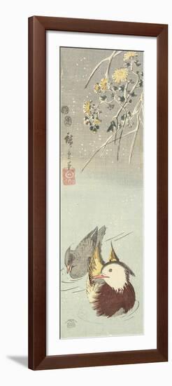 Chrysanthemum and Mandarin Ducks, February 1854-Utagawa Hiroshige-Framed Giclee Print