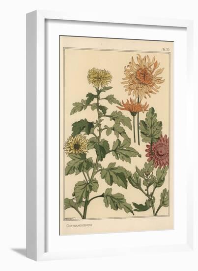 Chrysanthemum Botanical Study, 1897 (Lithograph)-Eugene Grasset-Framed Giclee Print