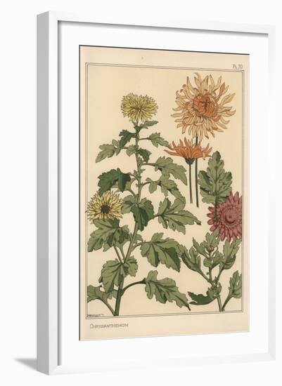 Chrysanthemum Botanical Study, 1897 (Lithograph)-Eugene Grasset-Framed Giclee Print