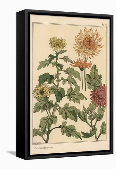 Chrysanthemum Botanical Study, 1897 (Lithograph)-Eugene Grasset-Framed Stretched Canvas