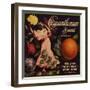 Chrysanthemum Brand - Redlands, California - Citrus Crate Label-Lantern Press-Framed Art Print