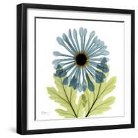 Chrysanthemum C-Albert Koetsier-Framed Art Print