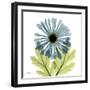 Chrysanthemum C-Albert Koetsier-Framed Art Print