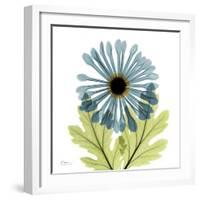 Chrysanthemum C-Albert Koetsier-Framed Art Print