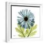 Chrysanthemum C-Albert Koetsier-Framed Art Print