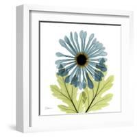 Chrysanthemum C-Albert Koetsier-Framed Art Print