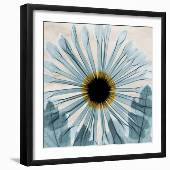 Chrysanthemum Close-Up-Albert Koetsier-Framed Art Print