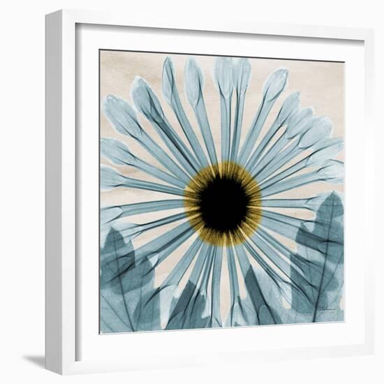 Chrysanthemum Close-Up-Albert Koetsier-Framed Art Print