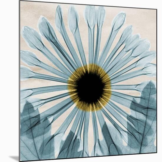 Chrysanthemum Close-Up-Albert Koetsier-Mounted Art Print