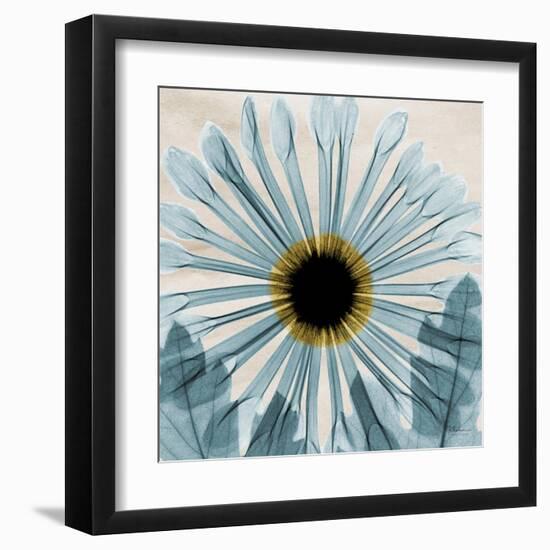 Chrysanthemum Close-Up-Albert Koetsier-Framed Art Print