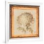 Chrysanthemum Floret Detail-Lauren Hamilton-Framed Art Print