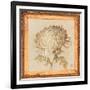 Chrysanthemum Floret Detail-Lauren Hamilton-Framed Art Print